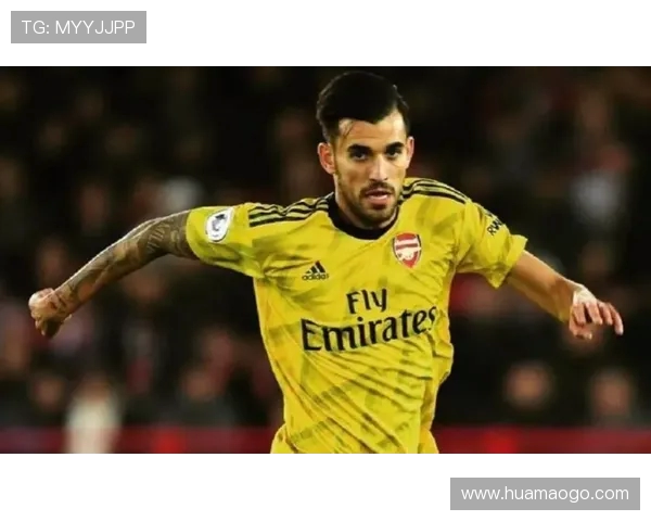 尤文图斯与莱切中卫加布里埃尔展开初步谈判引发关注